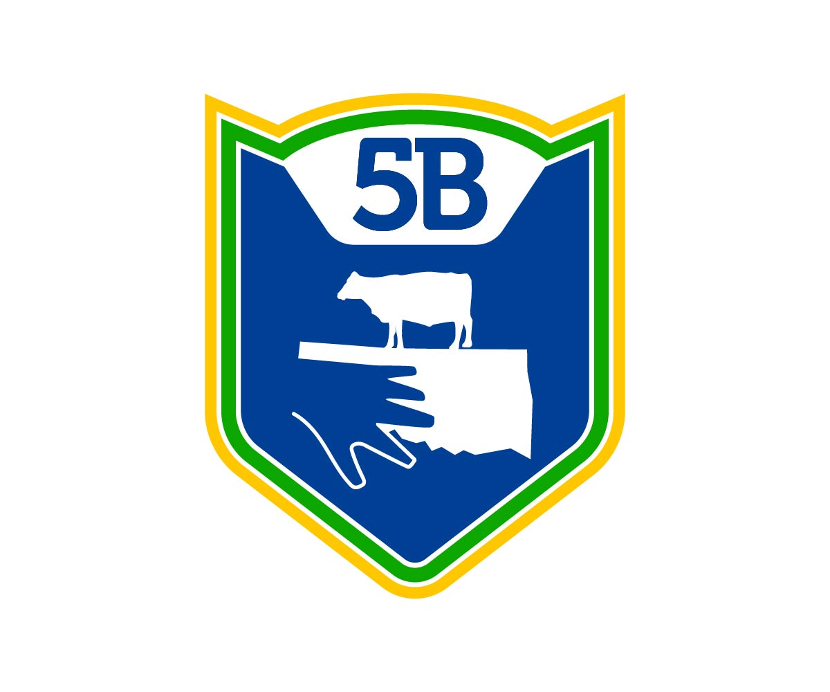 Logo Design by Ansh Design for this project | Design #34592702