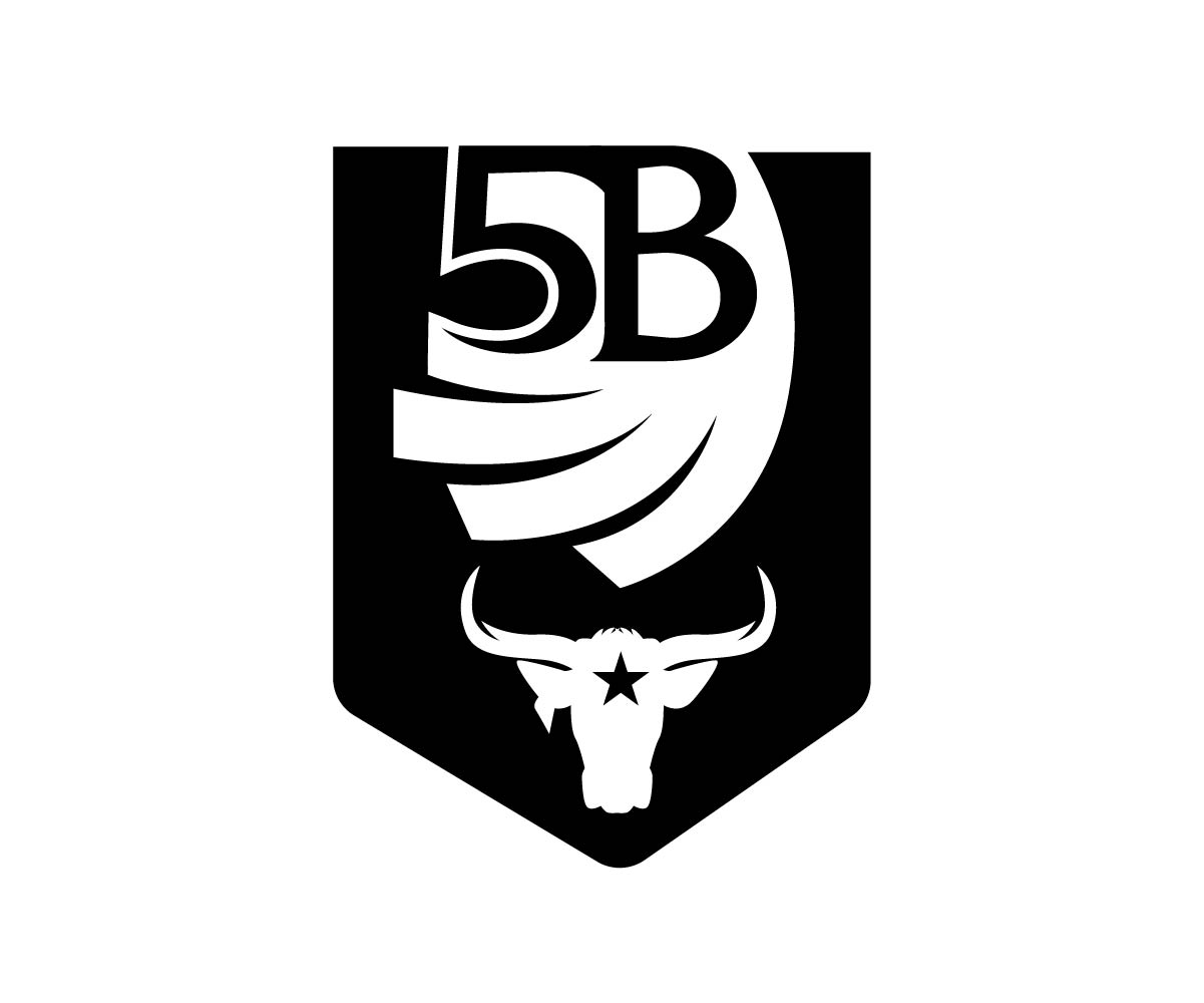 Logo Design by Ansh Design for this project | Design #34592703