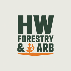 Logo Design by AMBStudio for this project | Design: #34672309