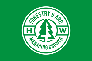 Logo Design by Aezakmi for this project | Design: #34626255