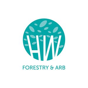 Logo Design by McFadden Design