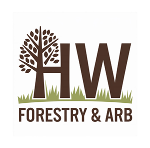 Logo Design by KING JM for this project | Design: #34600905