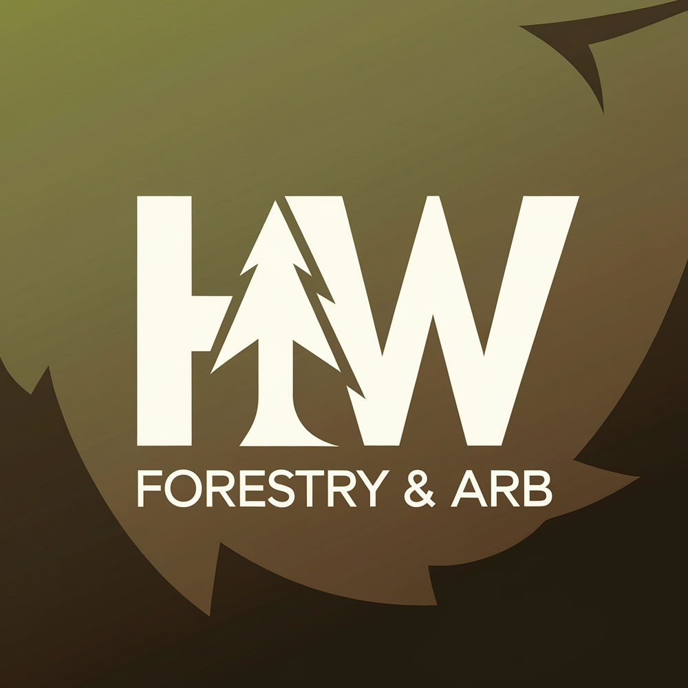 Logo Design by DesignVerse777 for this project | Design #34587365