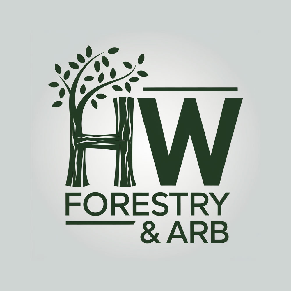 Logo Design by DesignVerse777 for this project | Design #34587366