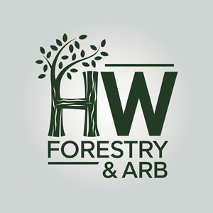 Logo Design by DesignVerse777 for this project | Design: #34587366