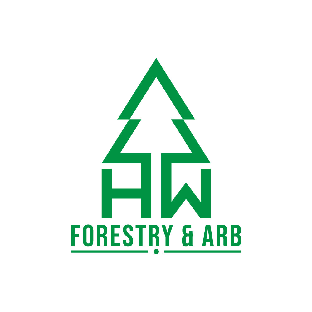 Design de Logo par loveqis pour ce projet | Design #34586740