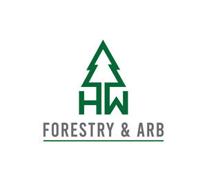 Logo Design by Nova_Create for this project | Design: #34595945