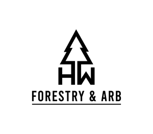 Logo Design by Nova_Create for this project | Design: #34595946