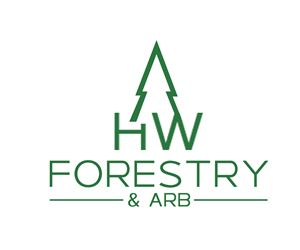 Design de Logo par mahfuz1450r pour ce projet | Design : #34604088