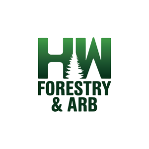 Logo Design by ArtistLobby