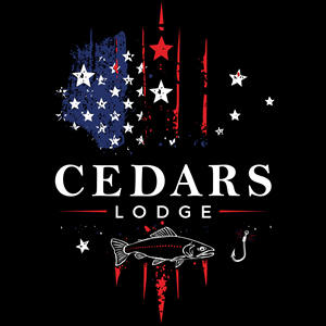 T-shirt Design by NancyTan for this project | Design: #34798172