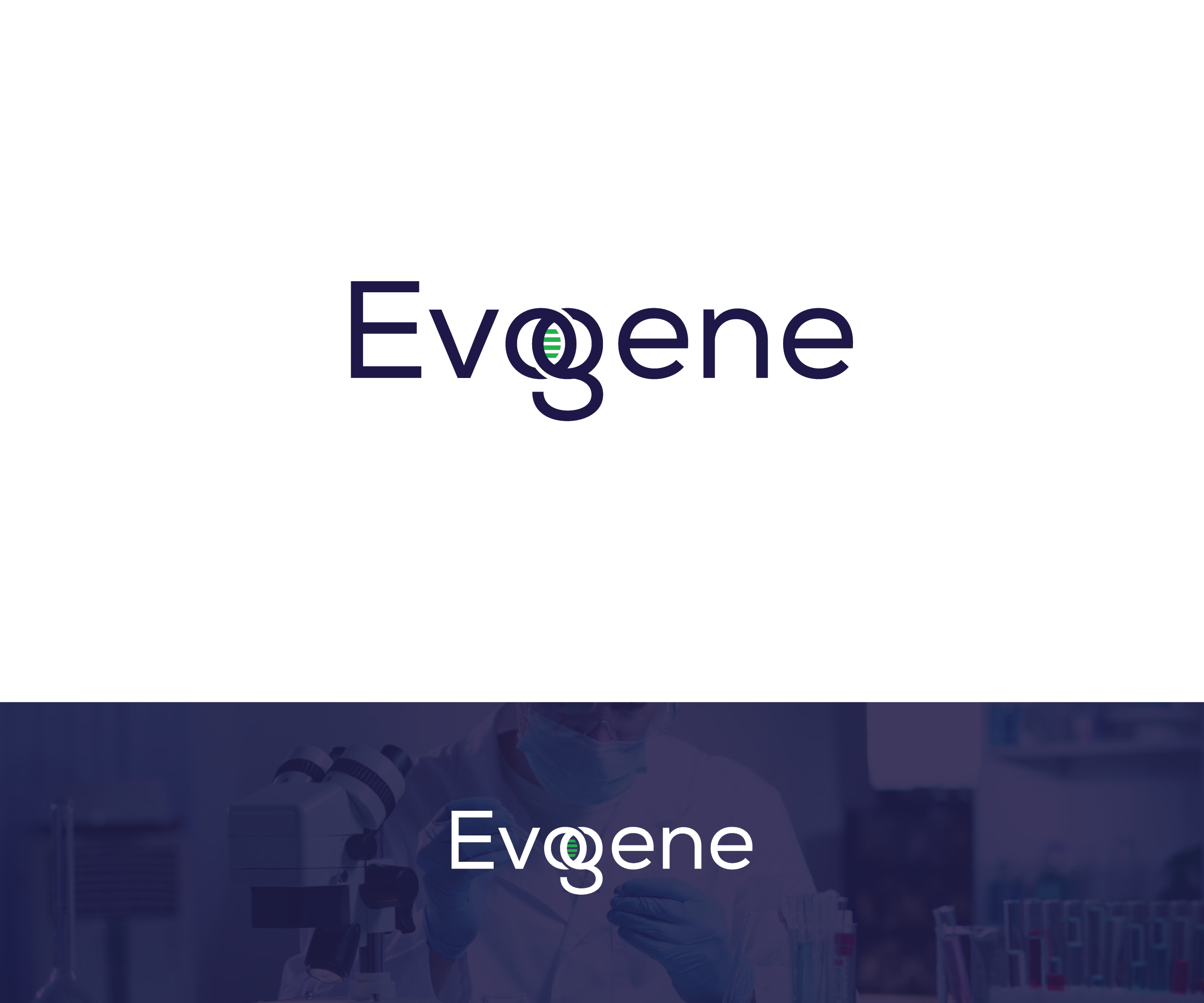 Logo Design by FT Marks Co. for this project | Design #34611235