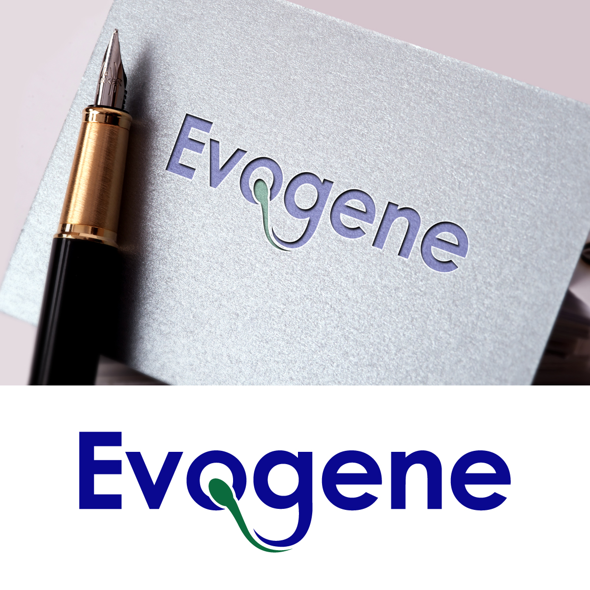 Logo Design by fly  design for this project | Design #34598786
