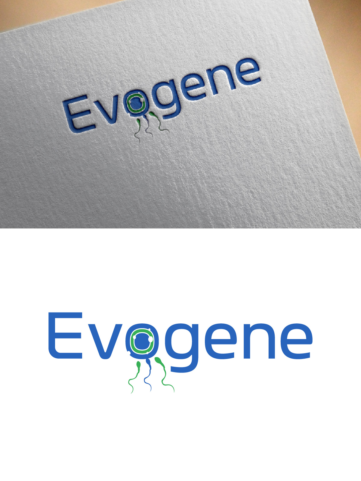 Logo Design by fly  design for this project | Design #34598788