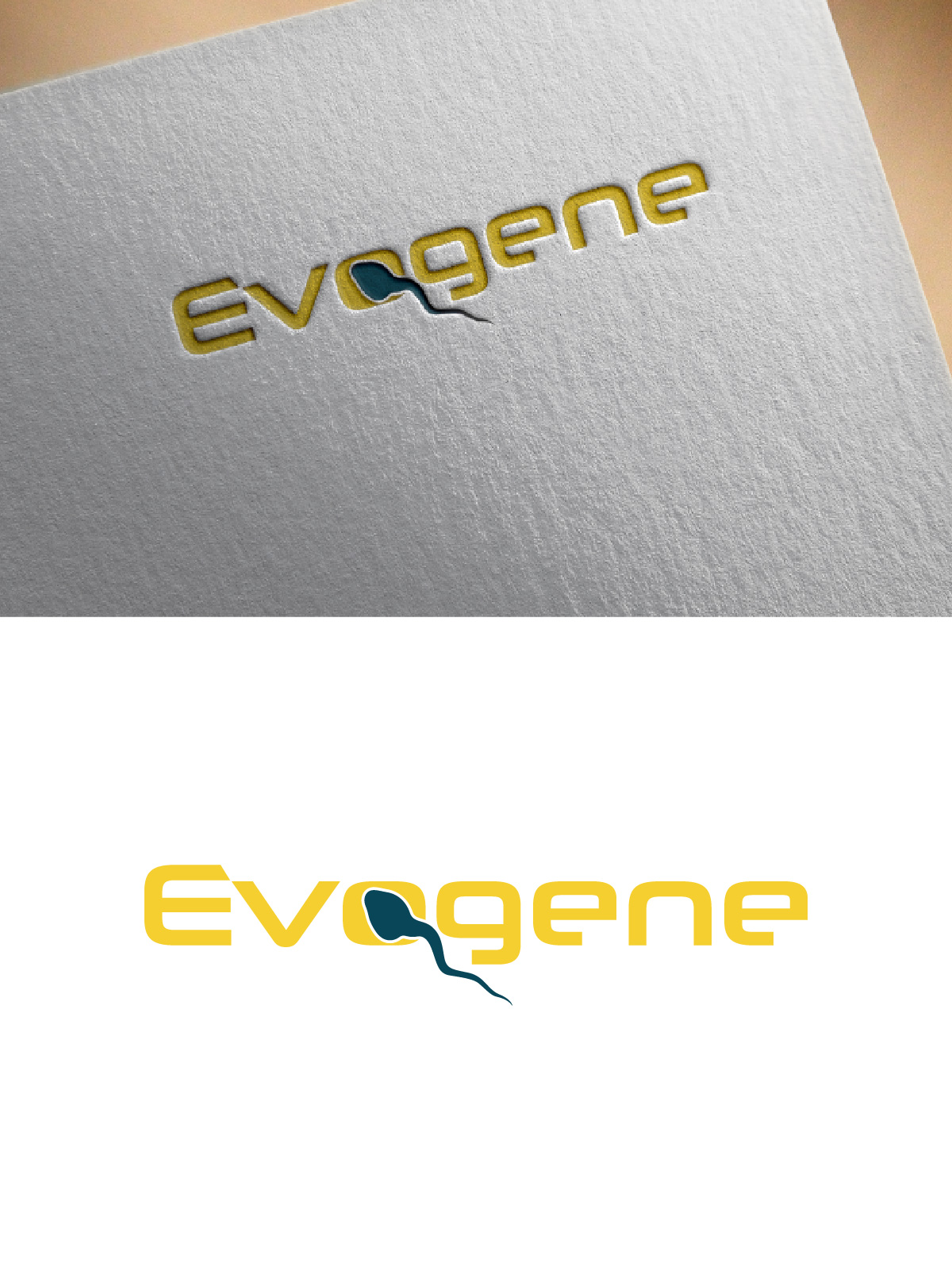 Logo Design by fly  design for this project | Design #34598796