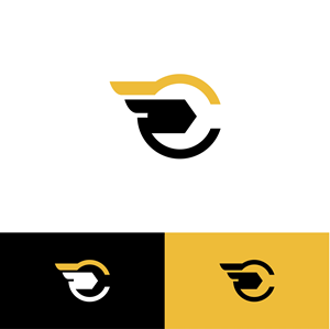 Logo Design by Bione