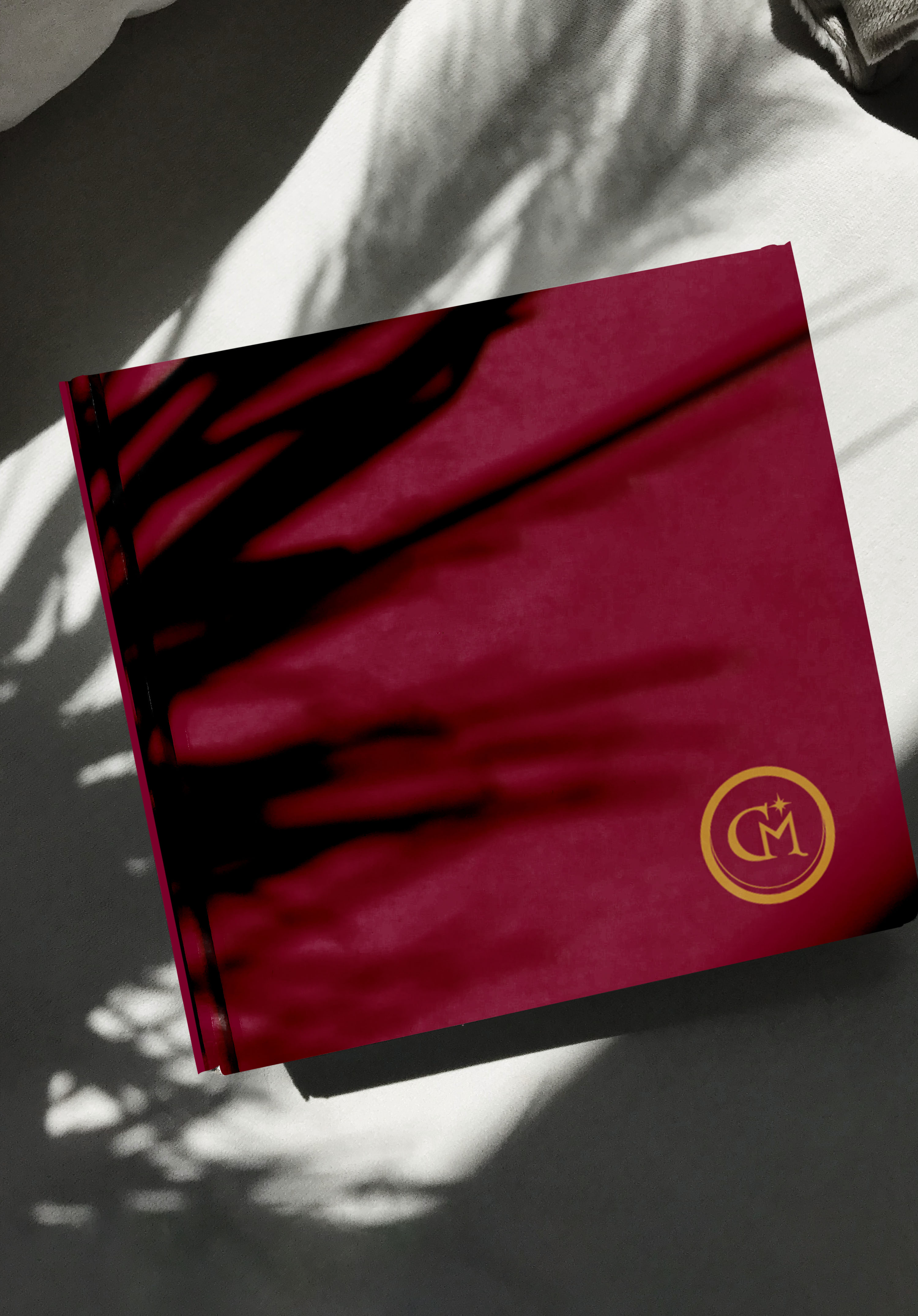 Logo Design by adragst for this project | Design #34621472