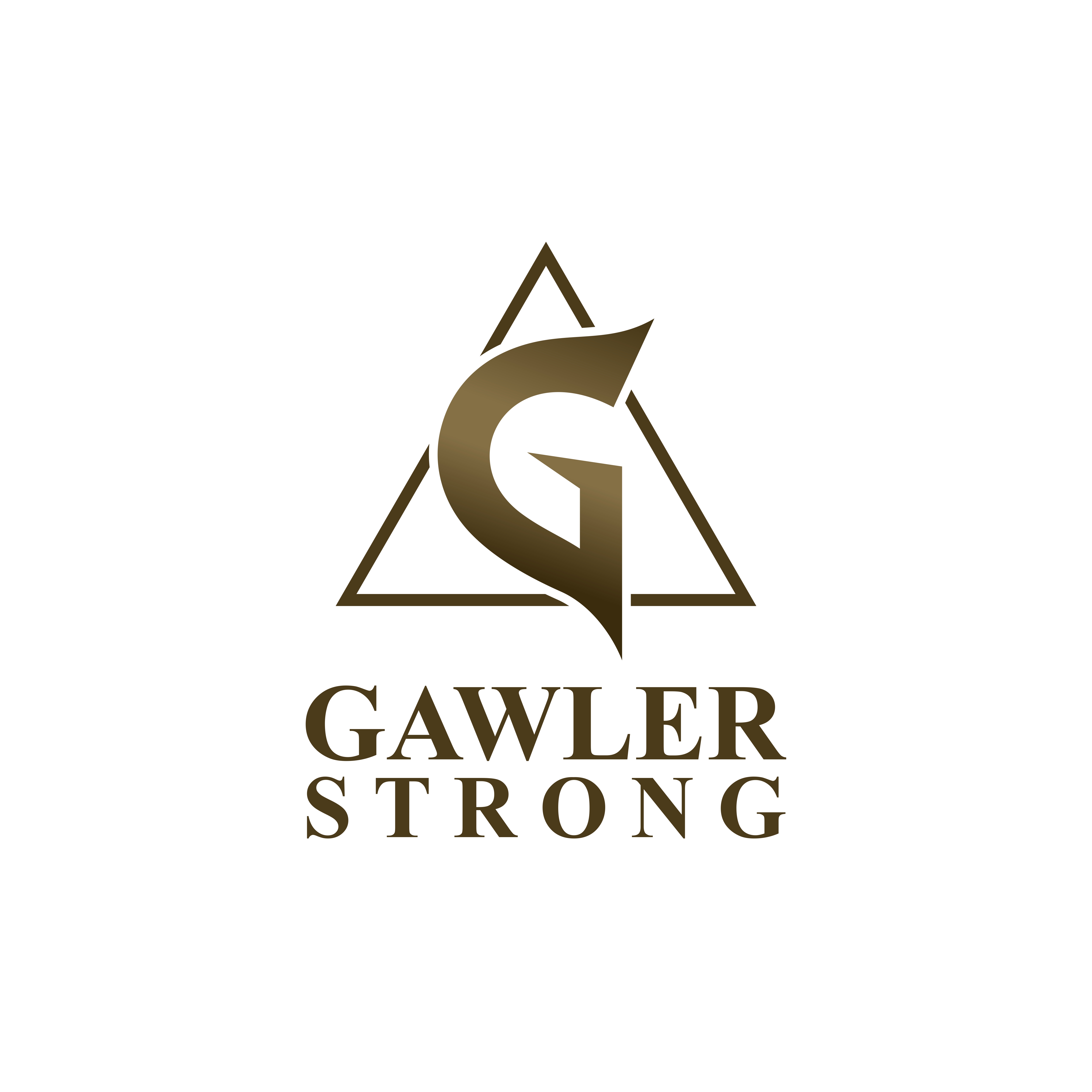 Logo Design by Heksa sigita for BaileyKing | Design #34635256