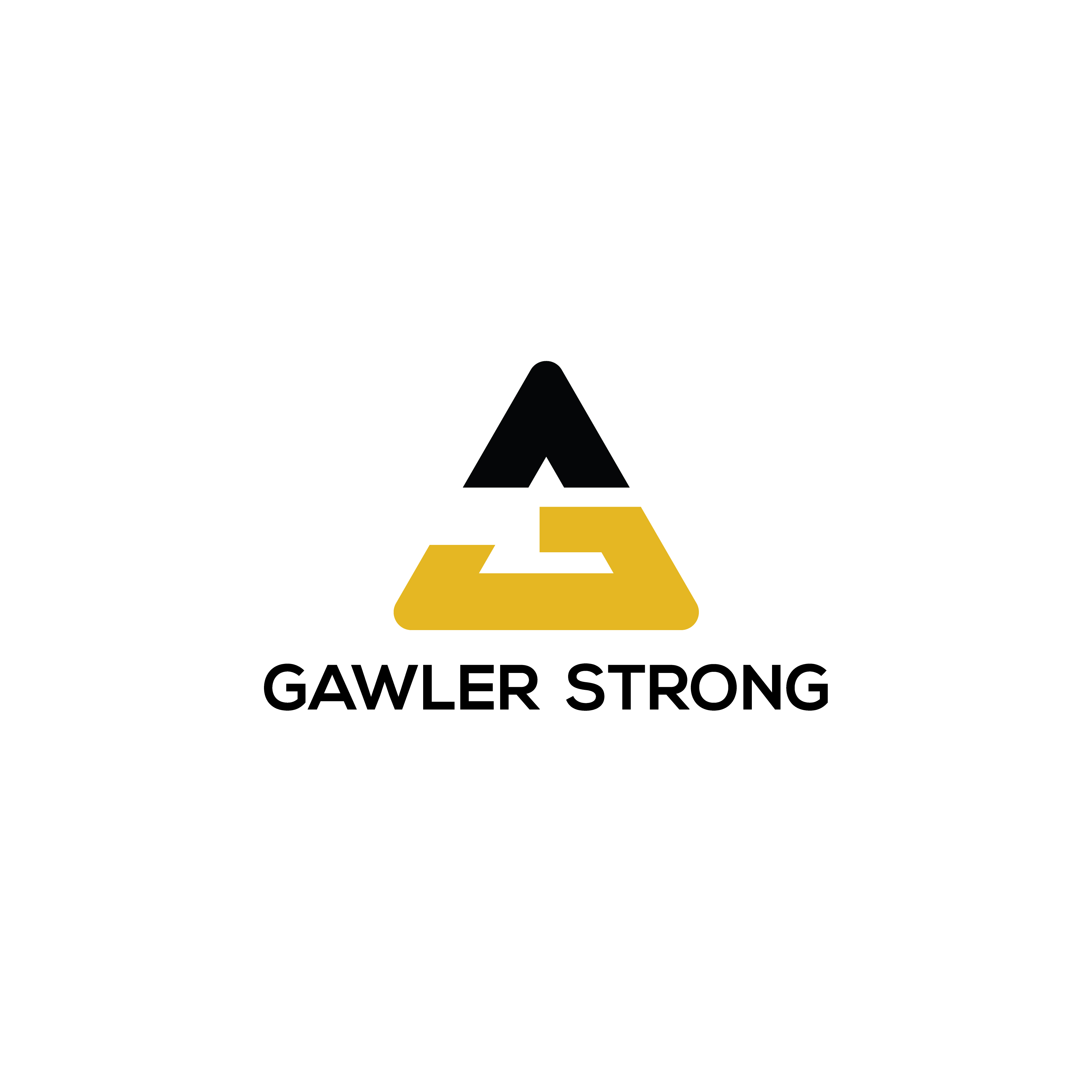 Logo Design by Casey Kelechi for BaileyKing | Design #34614993