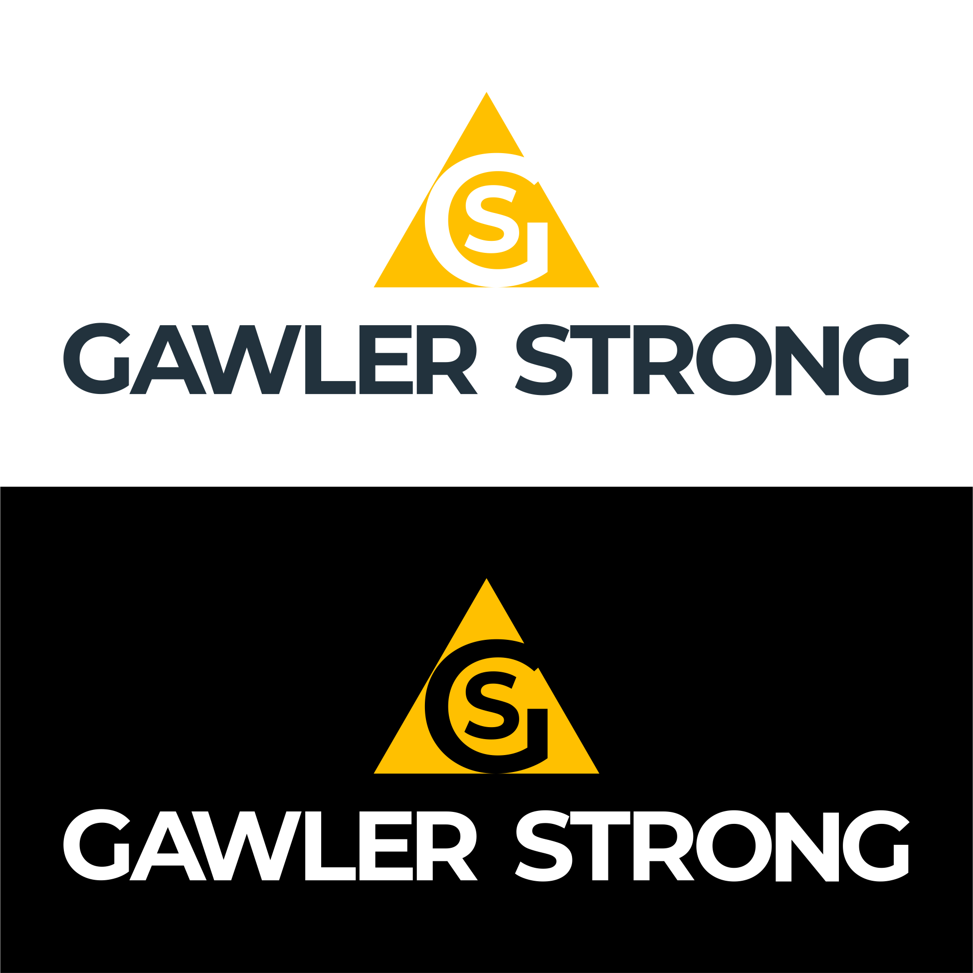 Logo Design by Jaka Suharno for BaileyKing | Design #34656346