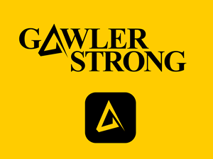 Logo Design by Hasib3509 for BaileyKing | Design: #34621464