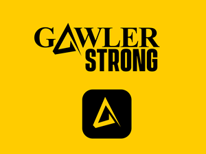 Logo Design by Hasib3509 for BaileyKing | Design: #34621479