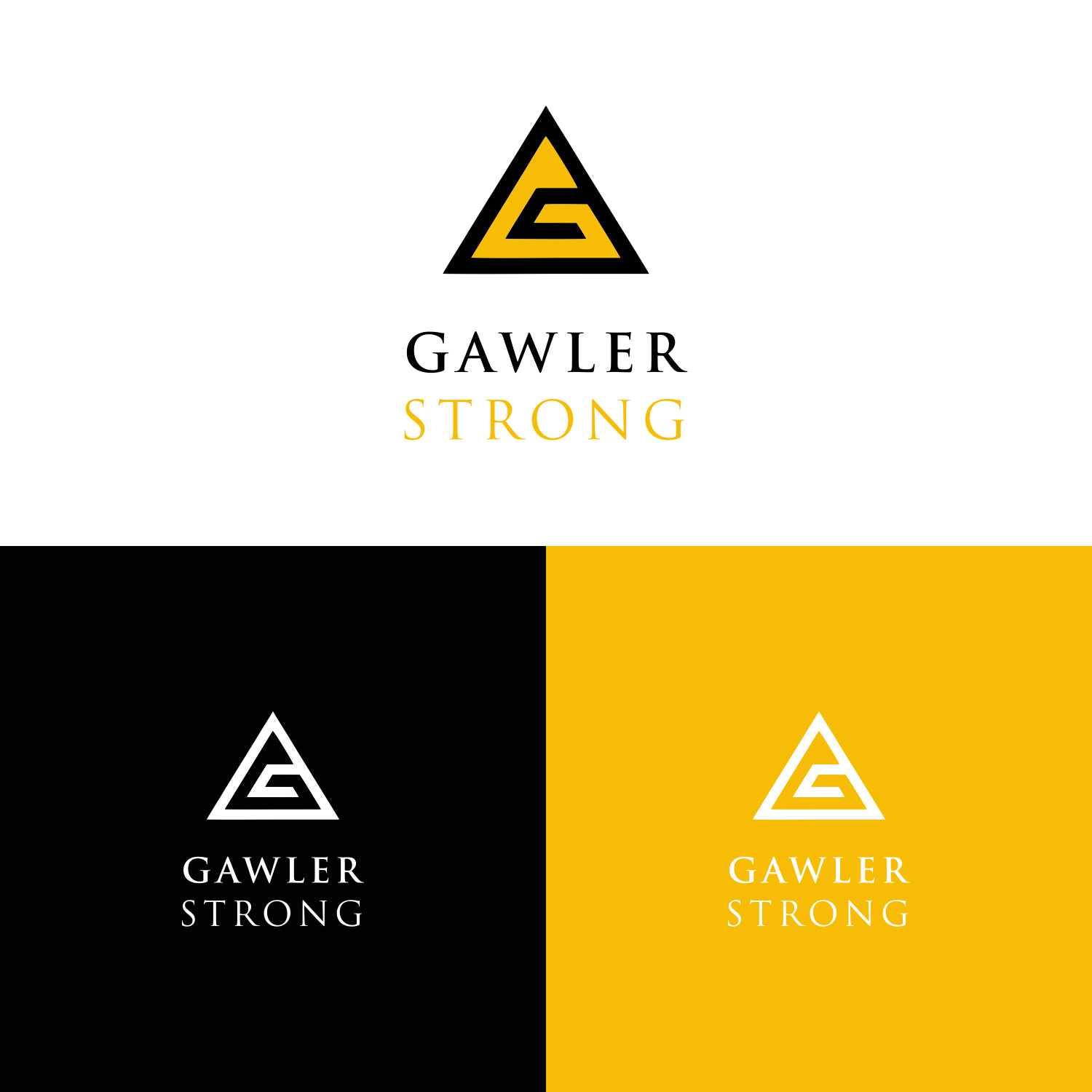 Logo Design by Turz Design for BaileyKing | Design #34618898