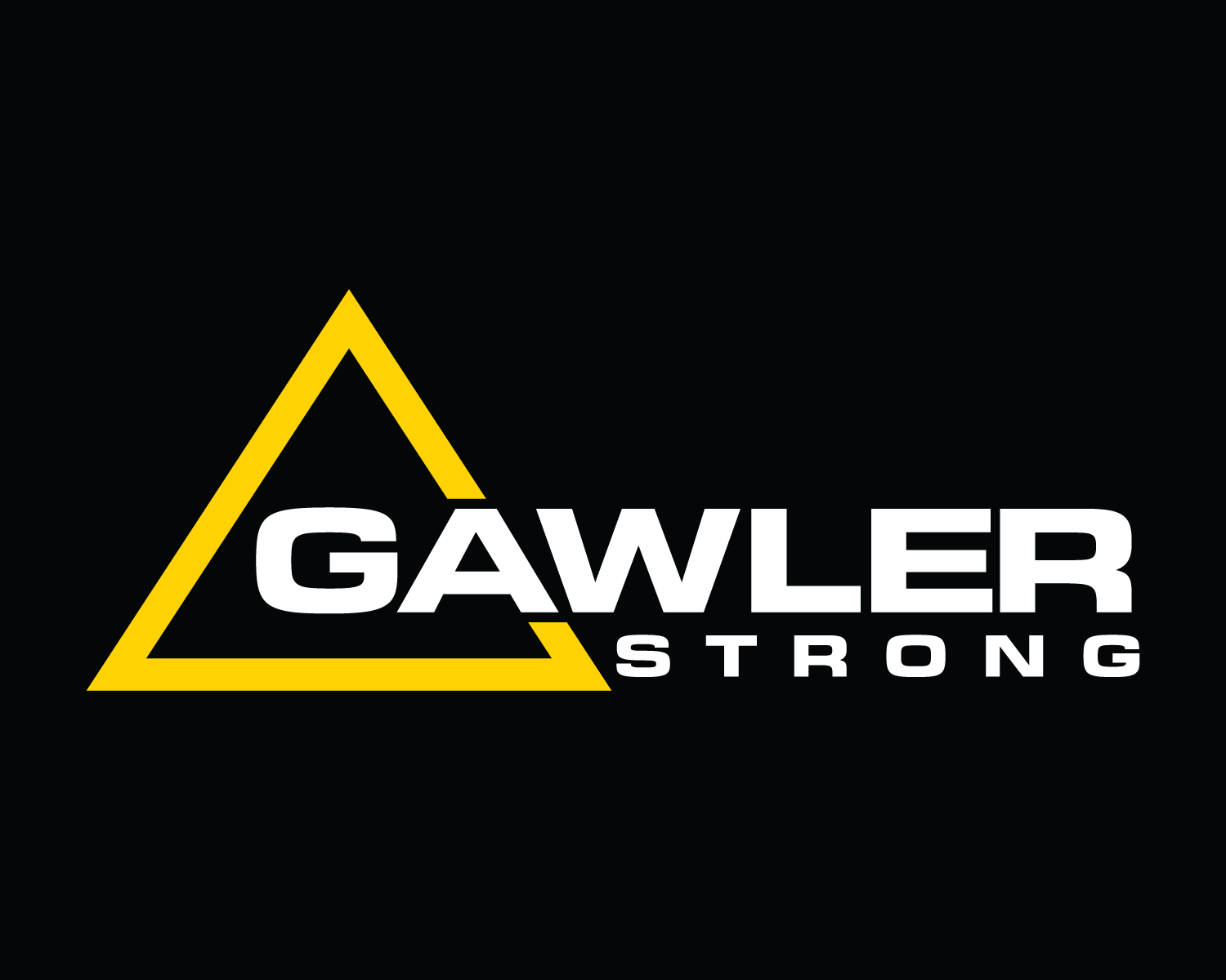 Logo Design by Atec for BaileyKing | Design #34624813