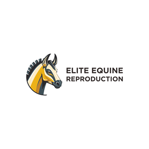 Logo Design by art to