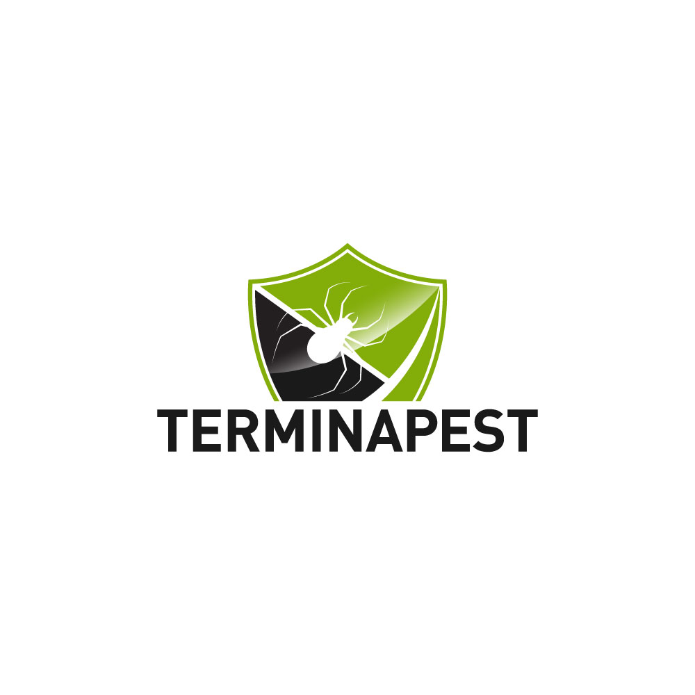Logo Design by Krold IT Solutions for this project | Design #34632854