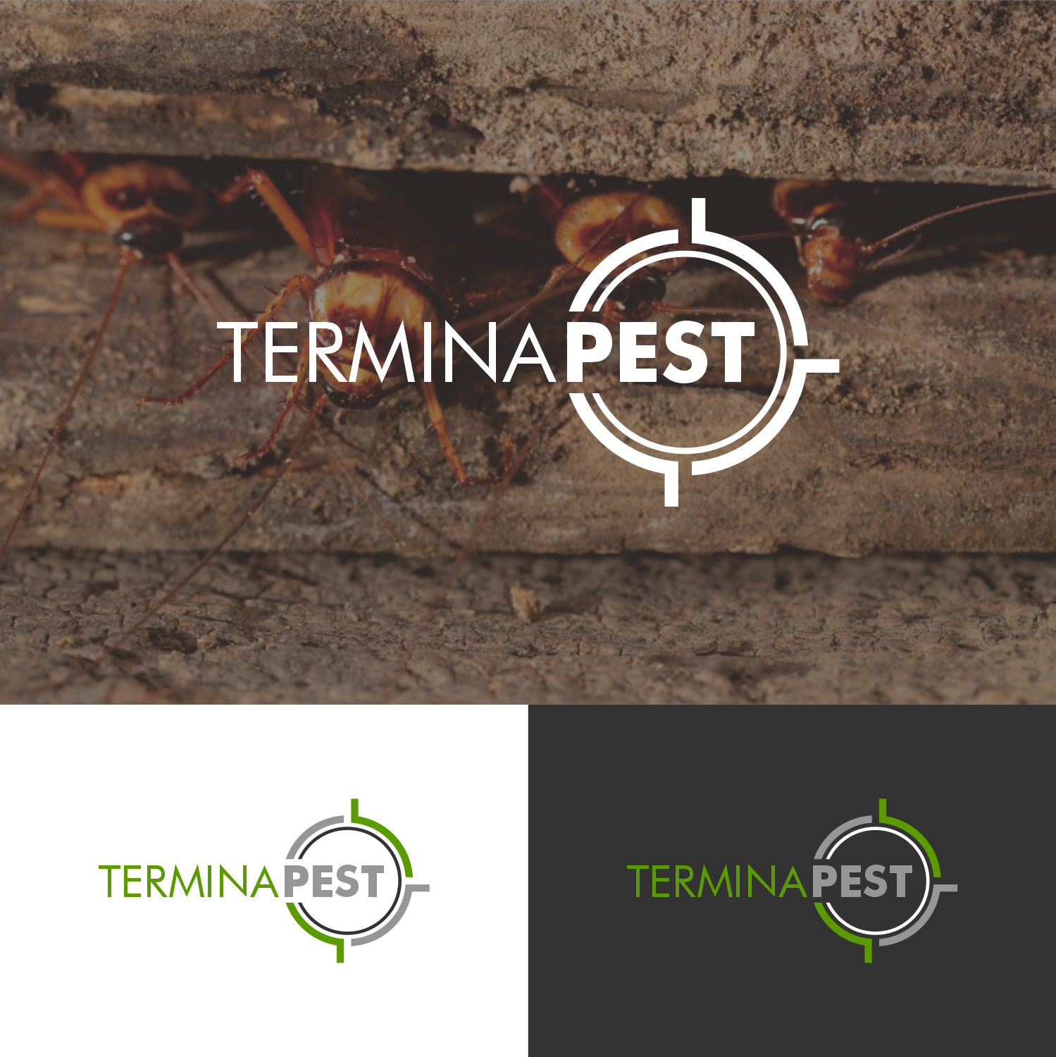 Logo-Design von donoREBI für dieses Projekt | Design #34660857