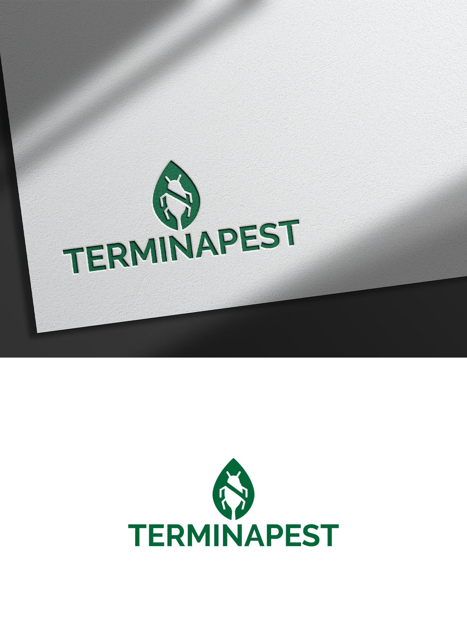 Logo Design by Majesty Design  for this project | Design #34633775