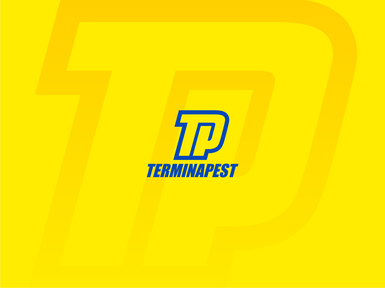 Design de Logo par Atvento Graphics pour ce projet | Design #34656273