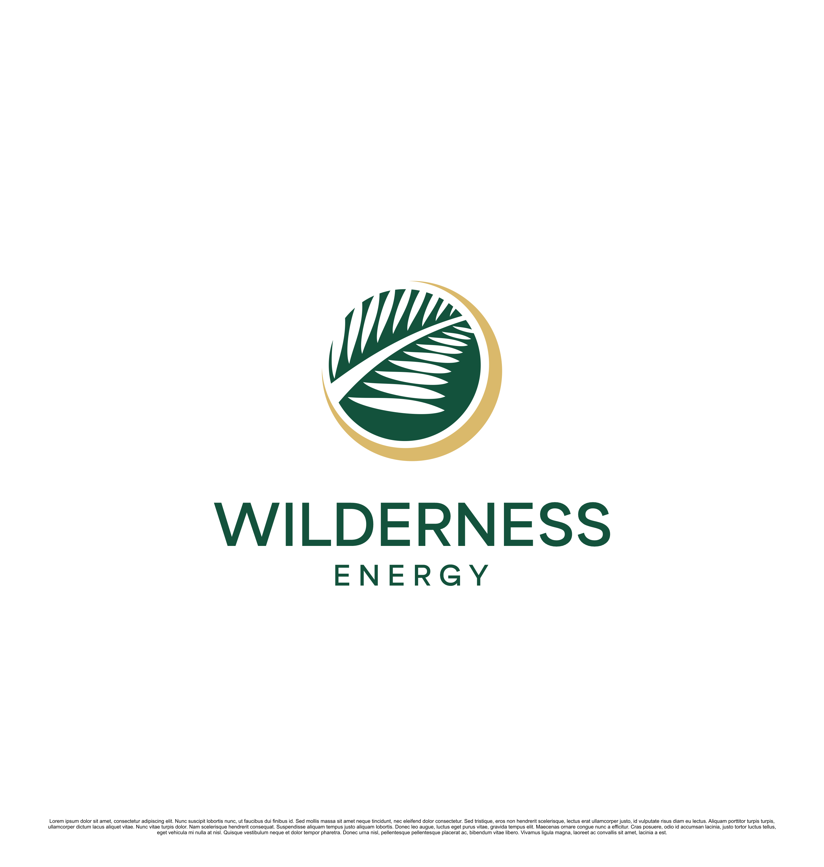 Logo Design by saesean for this project | Design #34639804