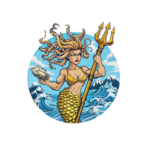 Illustration Design by anemidesign