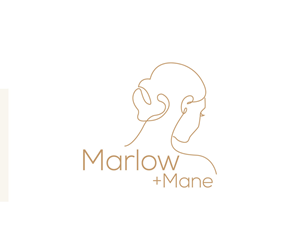 Logo Design by Ansh Design for this project | Design: #34636905
