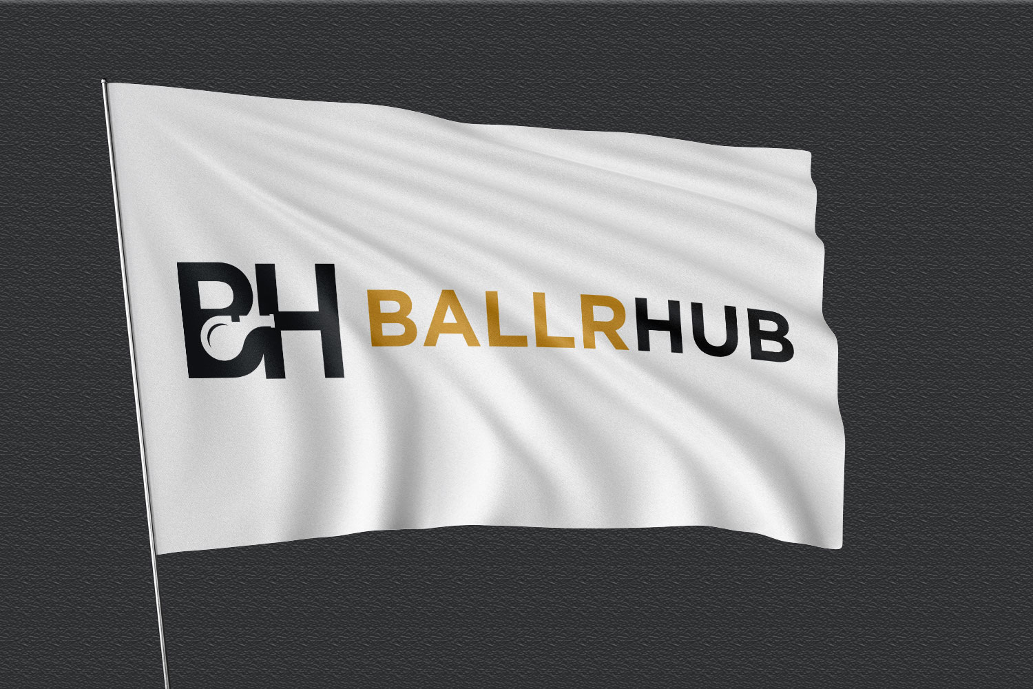 Logo Design by Abdul 20 for this project | Design #34641794