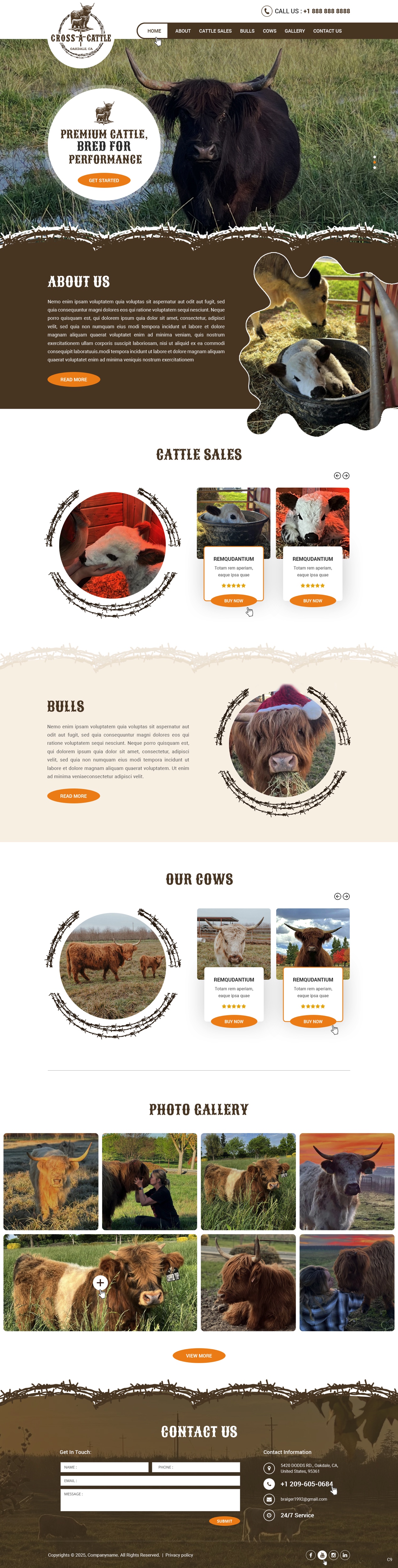 Web Design by pb for this project | Design #34646511