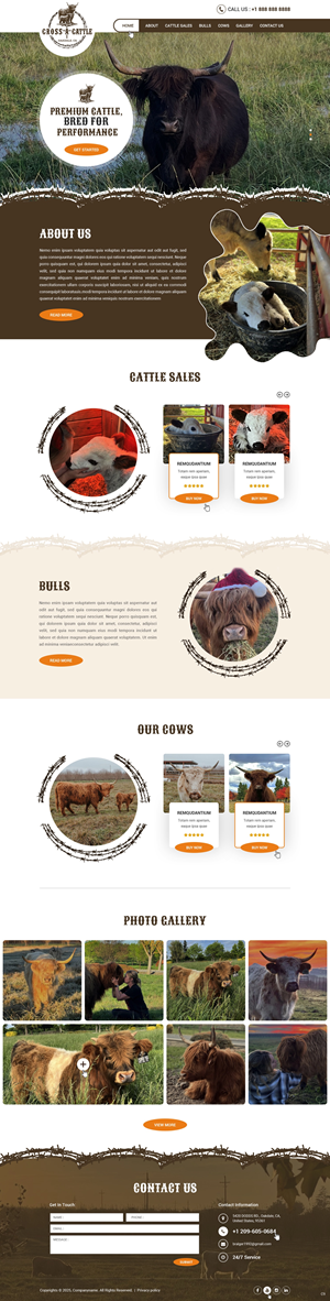 Web Design by pb for this project | Design: #34646511