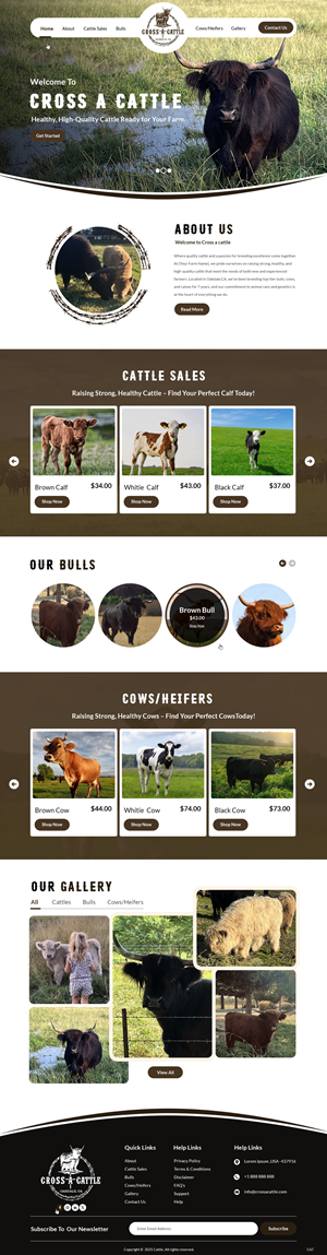 Diseño Web por pb para este proyecto | Diseño: #34646516