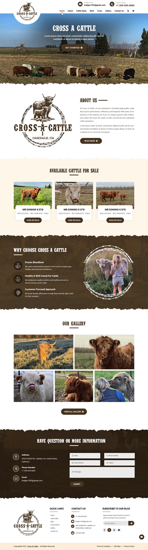 Diseño Web por pb para este proyecto | Diseño: #34646524