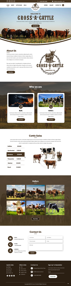 Diseño Web por pb para este proyecto | Diseño: #34646525