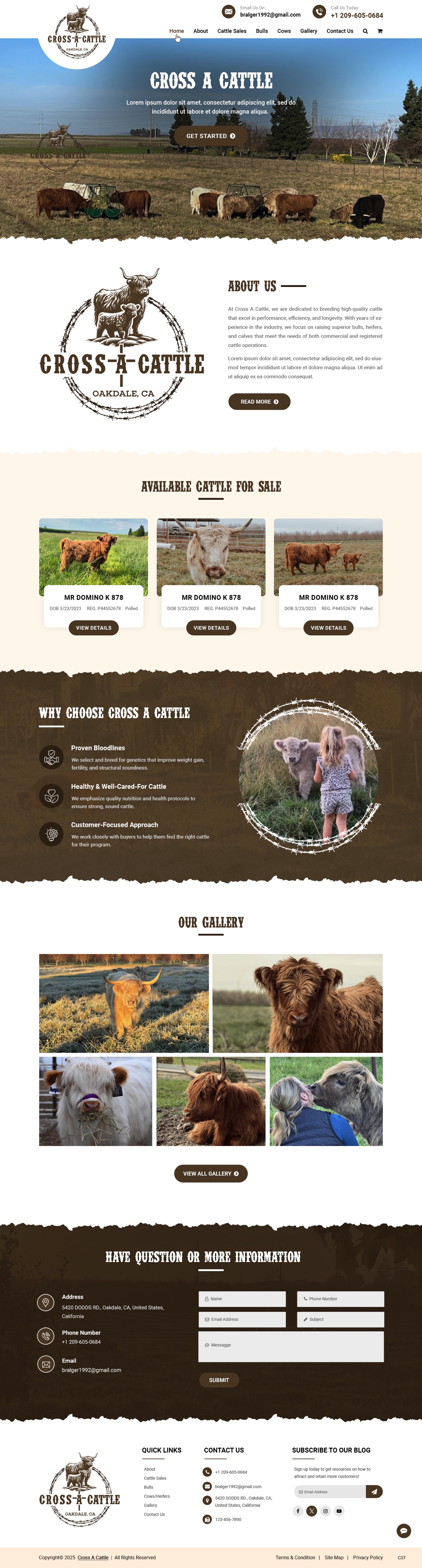 Web Design by pb for this project | Design #34646526