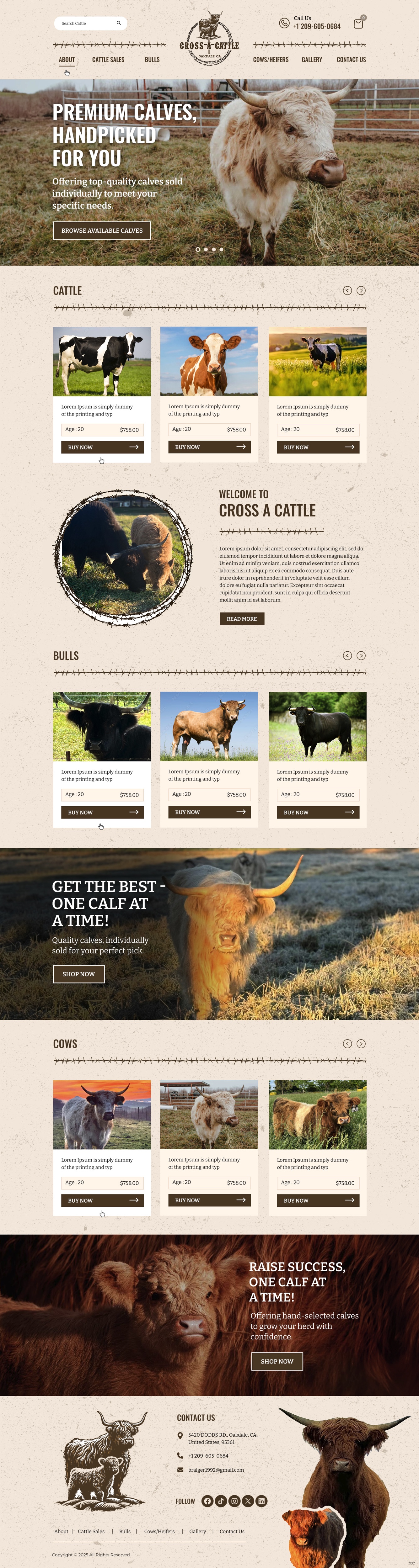 Web Design by pb for this project | Design #34646530