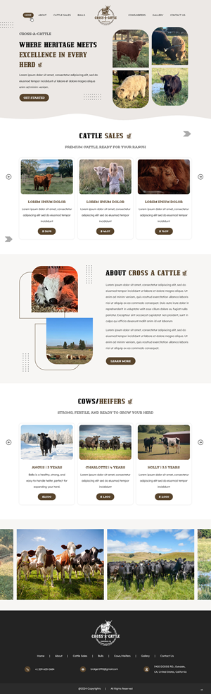 Diseño Web por pb para este proyecto | Diseño: #34646537