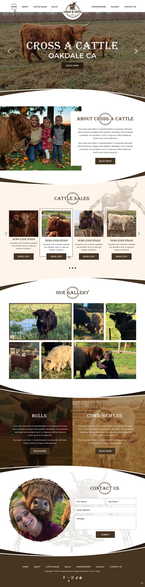 Diseño Web por pb para este proyecto | Diseño: #34646539