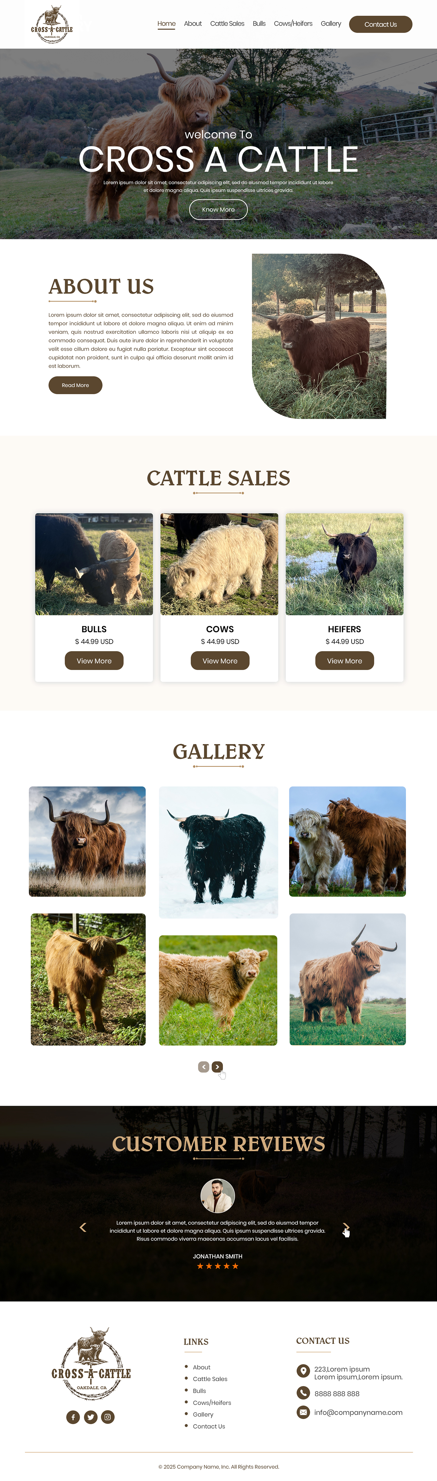 Web Design by Creations Box 2015 for this project | Design #34643522