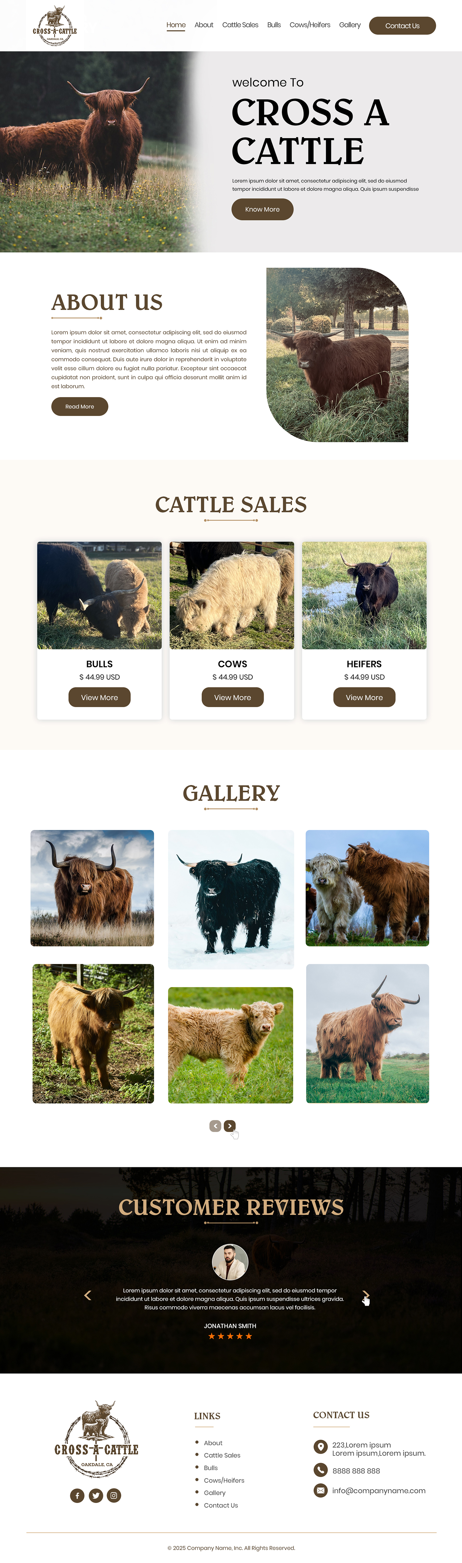 Web Design by Creations Box 2015 for this project | Design #34643523