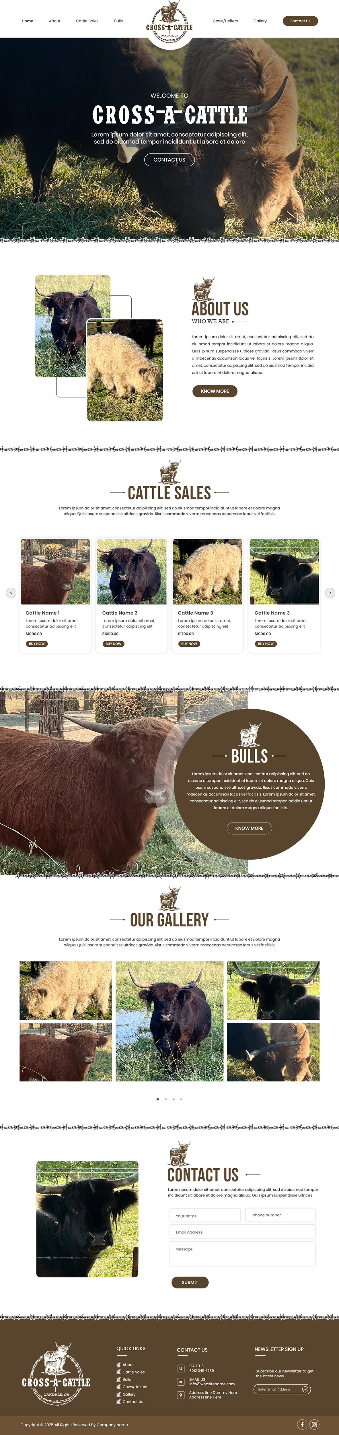 Web Design by Creations Box 2015 for this project | Design #34644456