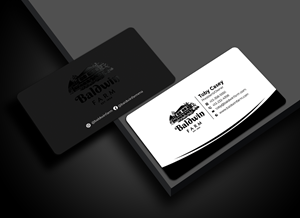 Business Card Design by Graphixpointt for this project | Design: #34650727